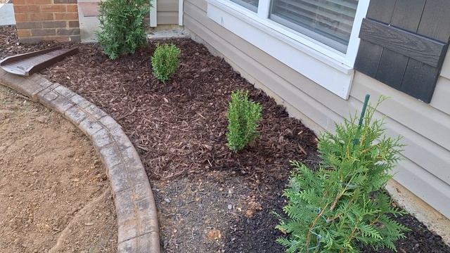 Мой Уход за Розами - в жару- 🤷♀️ только ПОЛИВ, серед?