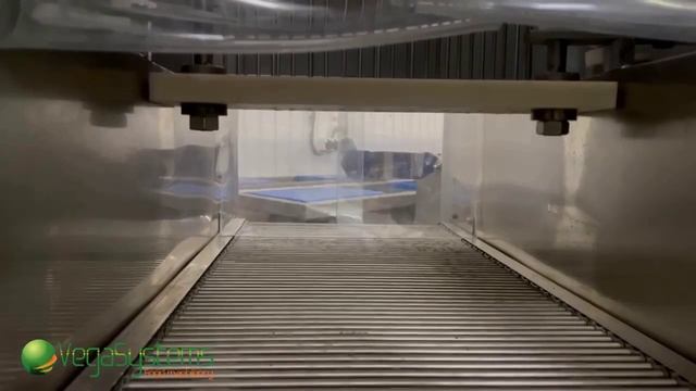 Инъектор для мяса птицы, свинины, говядины Vega Meat Injection H300