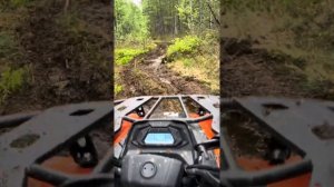 CF Moto 450L EPS по болоту