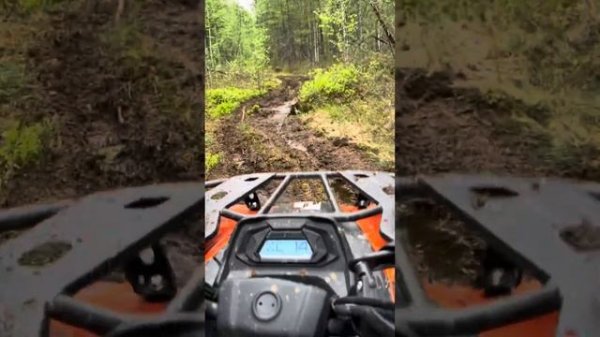 CF Moto 450L EPS по болоту