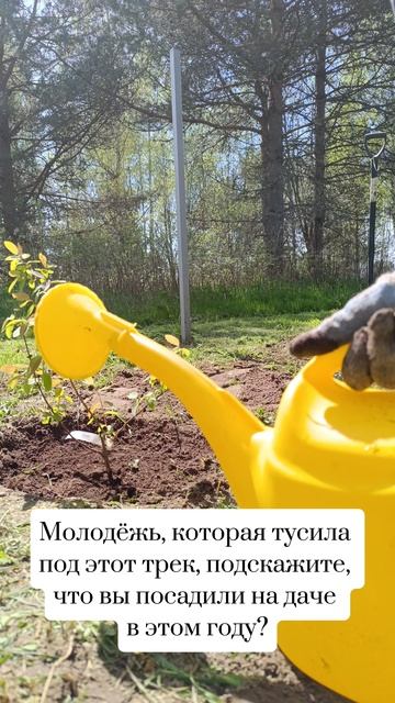 А вы что уже посадили?