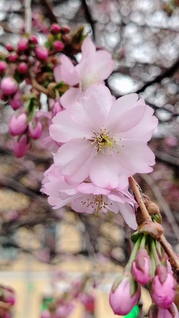 Я люблю создавать украшения.