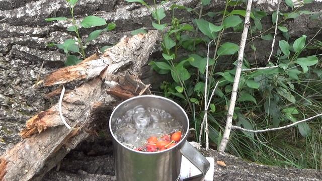 На мопеде АЛЬФА по ДИКИМ местам. смотреть онлайн