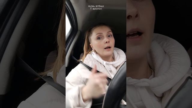 Что с Лиратой? Лирата опустила листья, что делать? смотреть онлайн