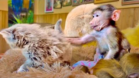 МЫ ПРИЕХАЛИ и заметили БОЛЬШИЕ ИЗМЕНЕНИЯ в поведении Анфисы с появлением кошечки смотреть онлайн