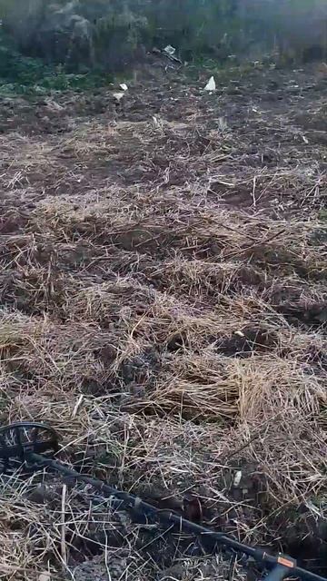 очередной выезд #рекомендации #коп #металлоискатели #п смотреть онлайн