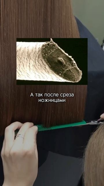 Как выглядит волос после стрижки машинкой? ПОДПИШИСЬ ? смотреть онлайн