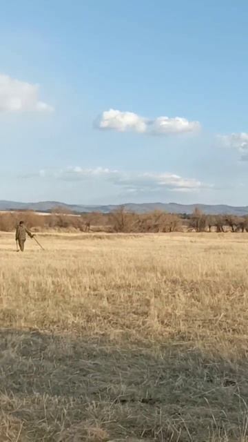 Ходят пикают... Приехали друзья из Ангарска, Читы и Ата? смотреть онлайн