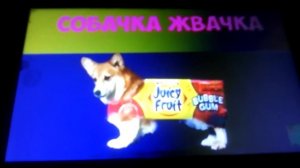 Собачка жвачка