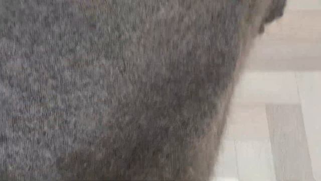 Пуховый плед одеяло.  +79030300712