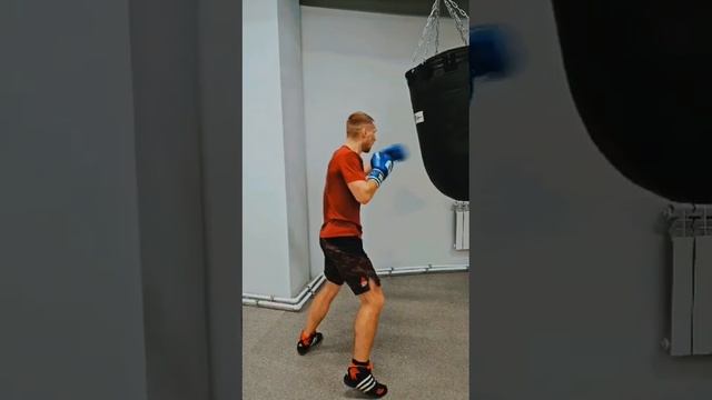 Боксерские мешки и груши TarxSport