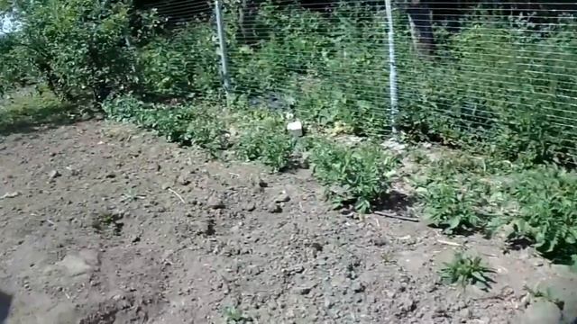 Деревенские , трудовые выходные.( видео отчет 2019г) смотреть онлайн
