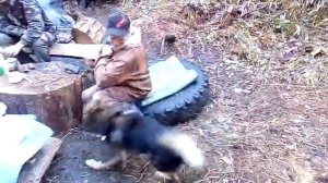 Утро в тайге планёрка кто куда.