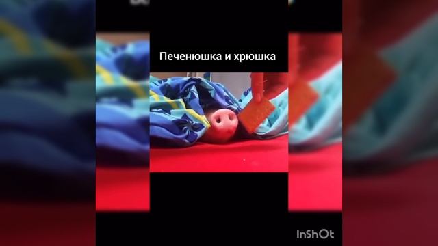 Приколы 2023 Лучшие До слез-Подборка Приколов смотреть онлайн