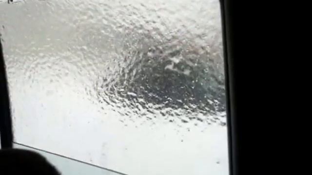 Приколы природы смотреть онлайн