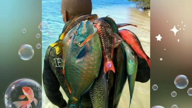 С Днем Рыбака!🐟🐠 смотреть онлайн