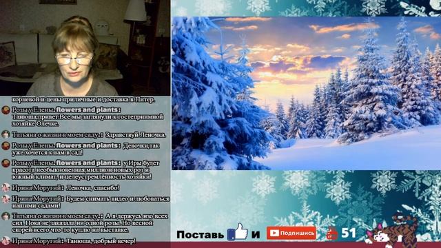 Стрим. В каких питомниках будем заказывать розы на вес