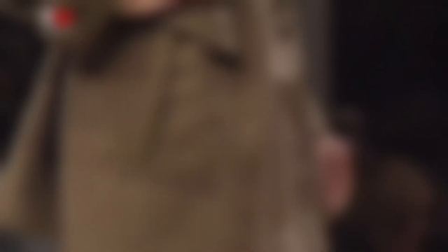 Влияние японской культуры на европейский дизайн