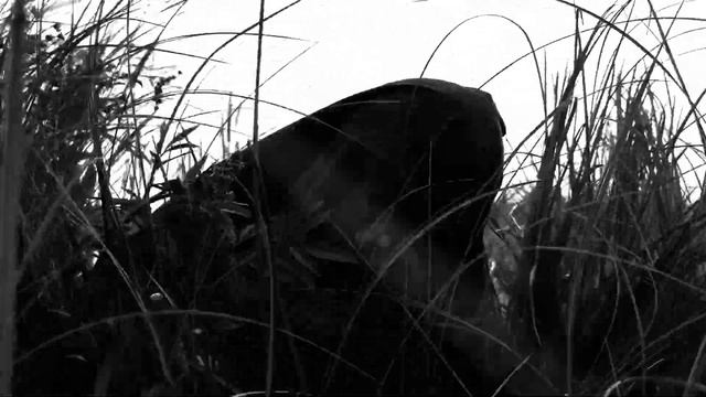 ROGOZ - В Тени Коряг [OFFICIAL VIDEO]