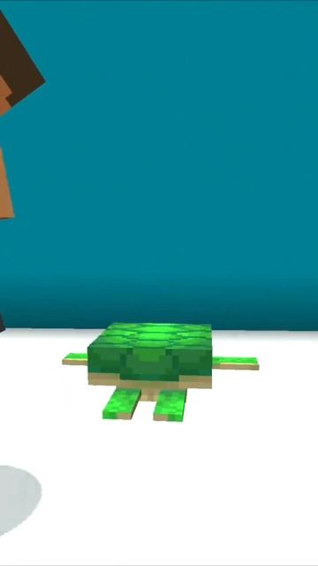 8 фактов о черепашек которые вы точно не знали #майнкра смотреть онлайн