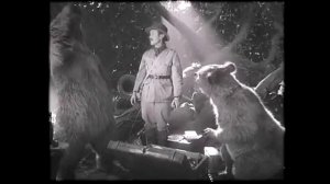 Приключения Паддингтона 2014 г.