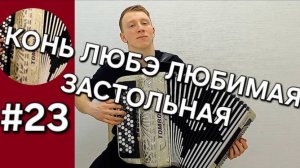 Урок 23  Баян с нуля Транспозиция, третий ряд правой руки  Конь ЛЮБЭ