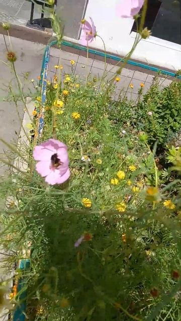 Moscow Июльский ПРИВЕТ... смотреть онлайн