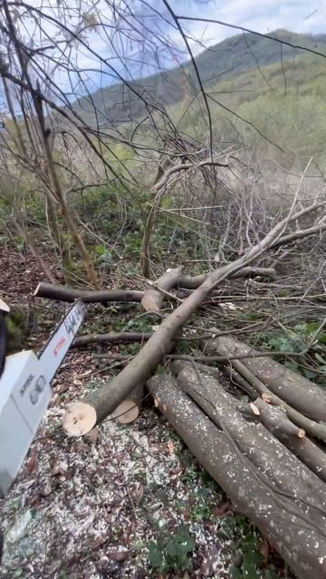 Бензопила STIHL - MS 180 заготівля дров смотреть онлайн