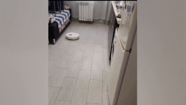 Отзывы о Робот-пылесосе Dreame Bot D10s