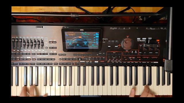 James Last. The Lonely Shepherd. ,,Одинокий пастух" KORG Pa 4x. Vladimir Korg. смотреть онлайн