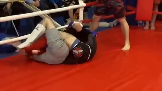 чемпионат области по панкратиону