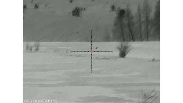 Sytong AM03-50 lrf заяц 300 метров смотреть онлайн