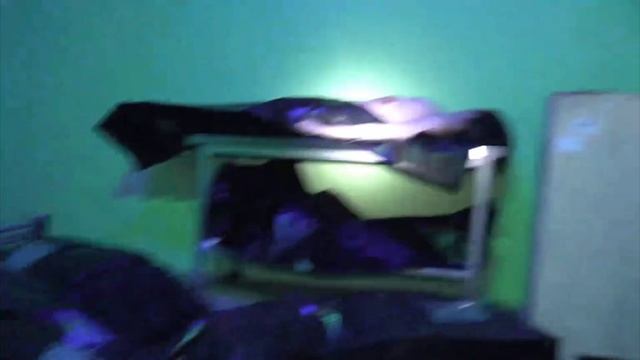 Видео без цензуры из ТГК герасев#герасёв #герасев#мака смотреть онлайн