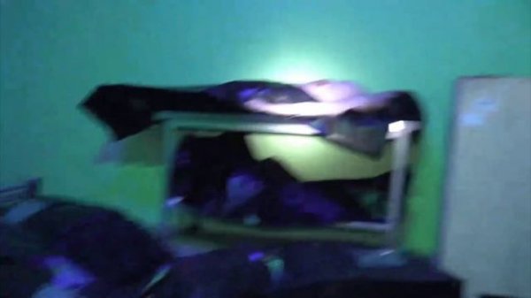 Видео без цензуры из ТГК герасев#герасёв #герасев#мака