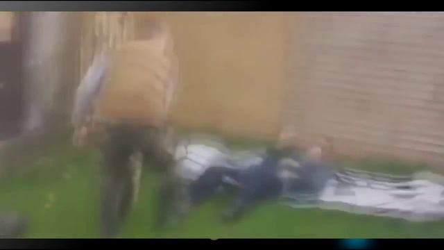 Приколы из жизни людей и зверей смотреть онлайн