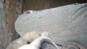 замена подушки кпп нива