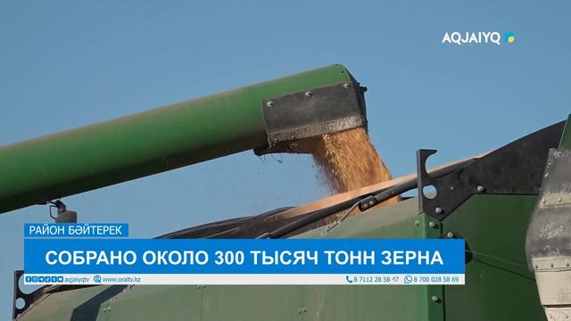 СОБРАНО ОКОЛО 300 ТЫСЯЧ ТОНН ЗЕРНА
