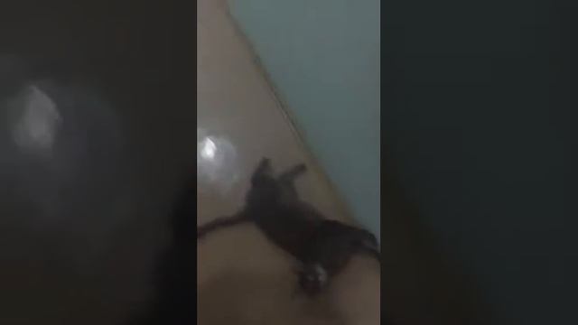 KononovaEl смотреть онлайн бесплатно, смотреть онлайн