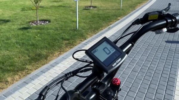 Складной монстр ЭЛЕКТРОВЕЛОСИПЕД Smart Balance HUNTER (2024)