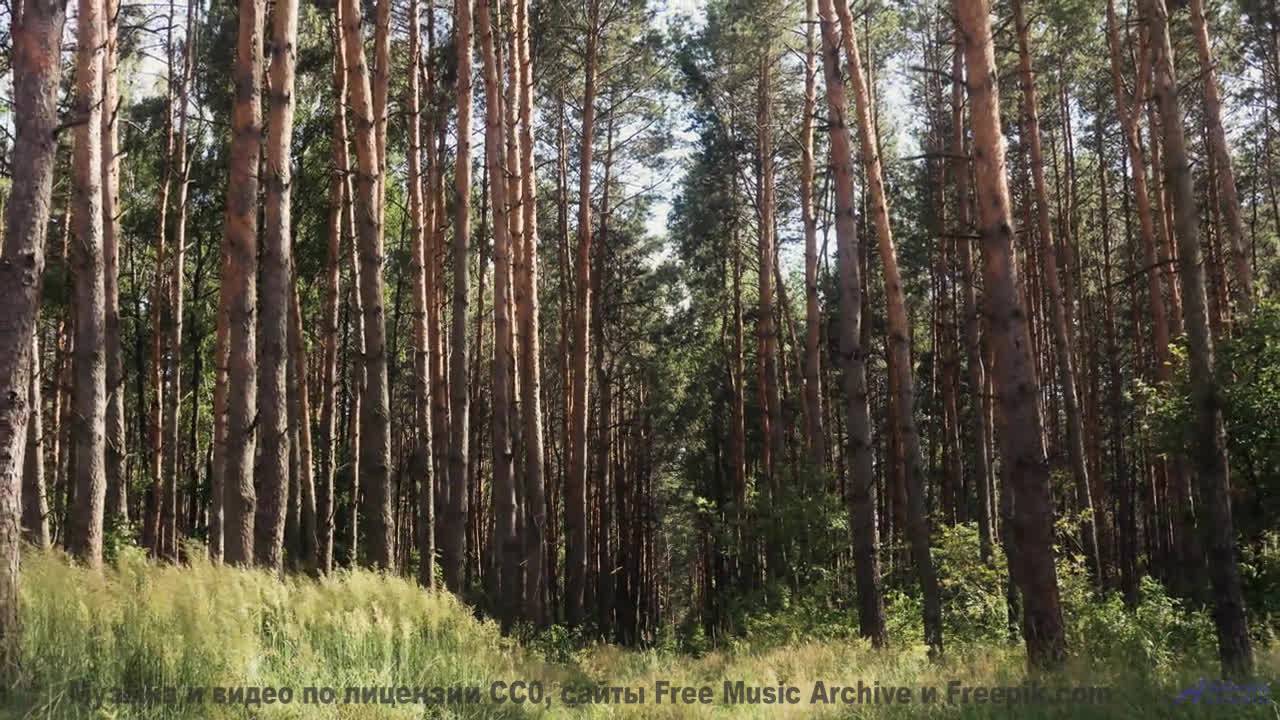 Музыка, которую не рекомендуют слушать слабонервным! - Empty 32 -- Jim Hall -- MishMash EP