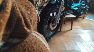 Балансировка переднего колеса электровелосипеда SUBORBO