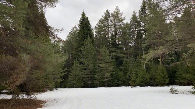 Я НЕ ПОНЯЛ, А ПОЧЕМУ СТОЛ НЕ НАКРЫТ?!... | Истории из жизн? смотреть онлайн