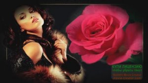 С ДНЁМ РОЗЫ!МУЗЫКАЛЬНОЕ ПОЗДРАВЛЕНИЕ