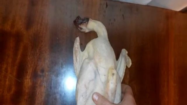 ПРИКОЛ ГОВОРЯЩАЯ КУРИЦА БЕЗ ГОЛОВЫ смотреть онлайн
