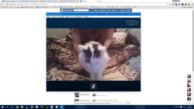 ШОК!!! Живодерка мучает кота! :( смотреть онлайн