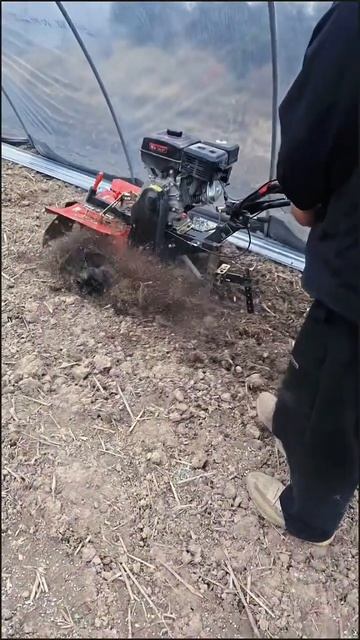 Power weeder #tiller #weeder #powerweeder #powertiller #культиватор #мотоблок смотреть онлайн
