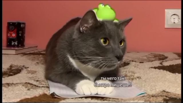 крутяк смотреть онлайн