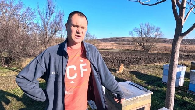 Ульи ППС и ППУ. Не обольщайтесь, и до вас дятел доберёт? смотреть онлайн