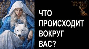 Что происходит вокруг Вас? 🔥🔮🔥#гадание#на#картах#таро#gadanie#tarot#онлайн
