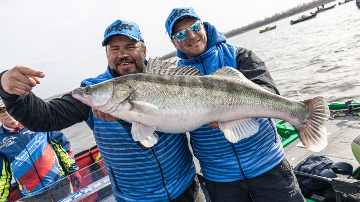Золотой Судак #fishing